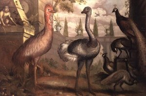Sammlung von Vögeln von Francis Barlow