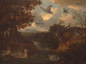 Enten und Andere Vögel an einem Bach in einer Italienischen Landschaft