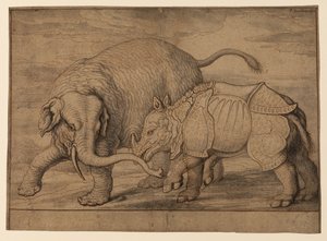 Kampf zwischen einem Elefanten und einem Nashorn