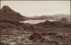 Arthog, Creigenen-See