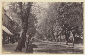 Cheltenham, die Promenade, 1860-94 von Francis Bedford