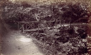 Colwyn Bay. Rustikale Brücke im Wald, 1870er Jahre von Francis Bedford