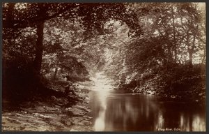 Elwy Fluss, Cefn von Francis Bedford