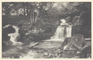 Glen Lyn, die rustikale Brücke
