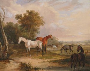 Pferde beim Grasen: Ein grauer Hengst grast mit Stuten auf einer Wiese von Francis Calcraft Turner
