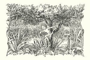 Fröhliches England: Robin Goodfellow von Francis Donkin Bedford