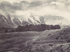 Fernsicht auf die Zedern des Libanon, ca. 1857