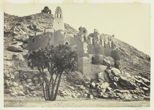 Doum-Palme und zerstörte Moschee, Philä von Francis Frith