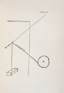 Libelle von Francis Picabia