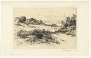 Hügelige Landschaft bei Swanage