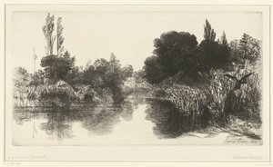 Teich