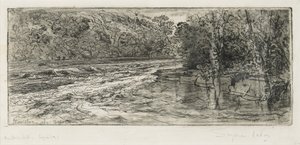 Ein guter Ort für einen Lachs, 1889