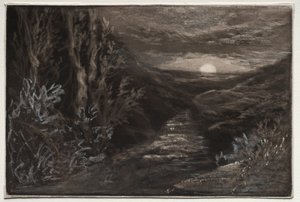 Ein Moorbach