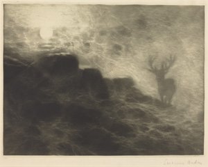Ein Frühaufsteher von Francis Seymour Haden