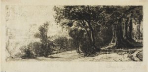 Früher Morgen, Richmond Park