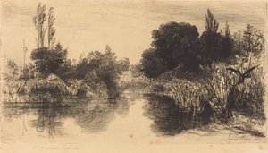 Shere Mill Pond (Die größere Platte)
