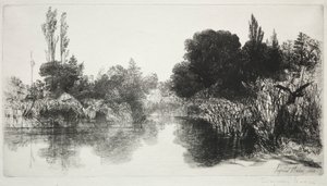 Shere Mill Pond, Nr. 11 (Die große Platte)