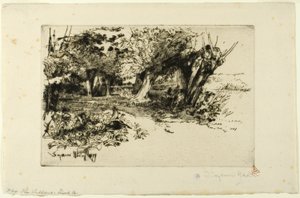 Die Weiden von Francis Seymour Haden