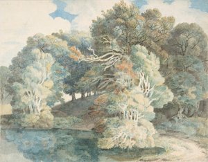 Bäume am See, Peamore Park, nahe Exeter, Devon von Francis Towne