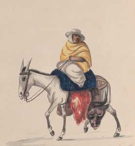 Ein Metzger auf einem Esel reitend, aus einer Gruppe von Zeichnungen, die peruanische Kostüme darstellen, ca. 1848