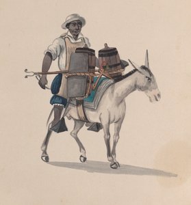 Ein Wasserträger reitet auf einem Esel, aus einer Gruppe von Zeichnungen, die peruanische Kostüme darstellen, ca. 1848 von Francisco