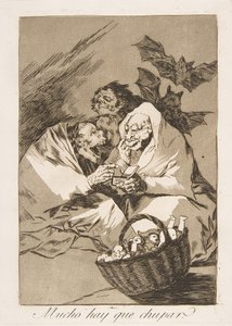 Tafel 45 aus Los Caprichos: Es gibt viel zu saugen, 1799 von Francisco de Goya