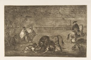 Tafel C: Die Hunde auf den Stier losgelassen, ca. 1816 von Francisco de Goya