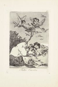 Alle werden fallen (Todos Caerán) Platte 19 aus: Los Caprichos