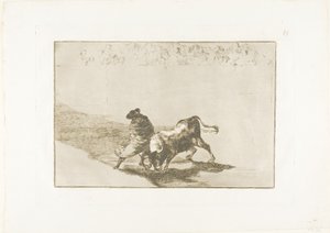 Der sehr geschickte Schüler von Falces, in seinen Umhang gehüllt, täuscht den Stier mit dem Spiel seines Körpers, Platte 14 aus Die Kunst des Stierkampfs von Francisco Jose de Goya y Lucientes