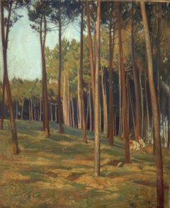Der rote Pinienwald von Francisco Llorens Diaz