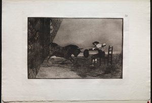 Stierkämpfe: Der Mut von Martincho im Ring in Saragossa