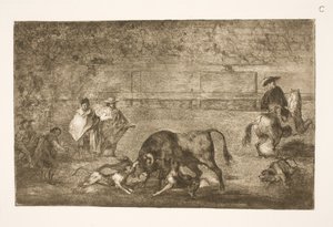 Die Hunde werden auf den Stier gehetzt von Francisco de Goya