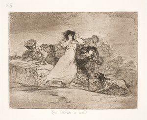 Was bedeutet diese Verwirrung? (65) von Francisco de Goya