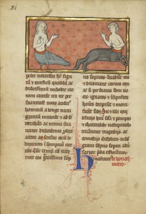 Eine Sirene und ein Zentaur aus einem Bestiarium Ms Ludwig XV 4, fol. 81v, ca. 1280-1300