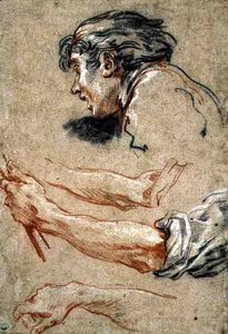 Kopf eines Jungen von François Boucher
