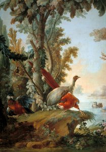 Reiher und Papageien von François Boucher