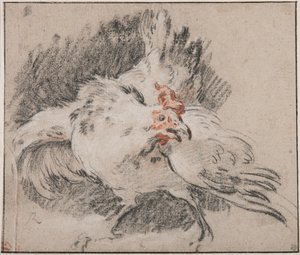 Studie eines Hahns von François Boucher