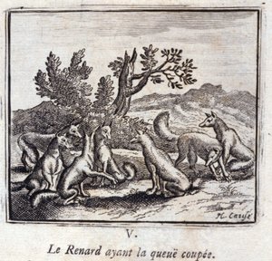 Illustration aus den 