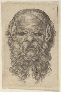Maske eines glatzköpfigen Mannes mit spitzen Ohren und langem, gespaltenem Bart, aus Divers Masques, ca. 1635-45