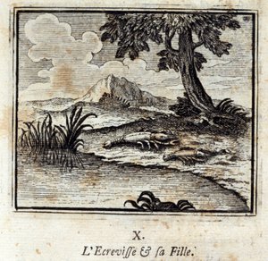 Der Krebs und seine Tochter. Fabeln von Jean de La Fontaine (1621-95). Illustration von François Chauveau (1613-1676). Ausgabe von 1728. von Francois Chauveau