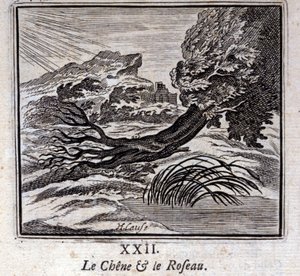 Die Eiche und das Schilfrohr. Fabeln von Jean de La Fontaine. Illustration von François Chauveau. Ausgabe von 1728. von Francois Chauveau