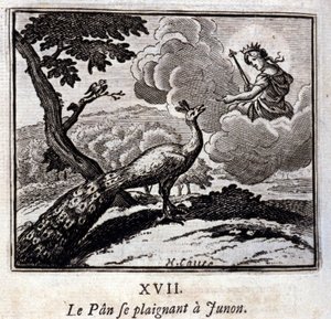 Der Pfau, der sich bei Juno beschwert. Fabeln von Jean de La Fontaine. Illustration von François Chauveau. Ausgabe von 1728. von Francois Chauveau