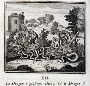 Der Drache mit mehreren Köpfen und der Drache mit mehreren Schwänzen. Fabeln von Jean de La Fontaine. Illustration von François Chauveau. Ausgabe von 1728. von Francois Chauveau