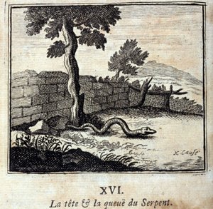 Der Kopf und der Schwanz der Schlange. Fabeln von Jean de La Fontaine (1621-95). Illustration von François Chauveau (1613-1676). Ausgabe von 1728 von Francois Chauveau