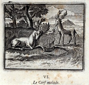 Der kranke Hirsch. Fabeln von Jean de La Fontaine. Illustration von François Chauveau. Ausgabe von 1728. von Francois Chauveau