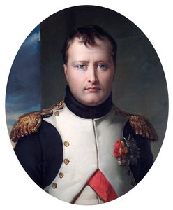 Napoleon Bonaparte, Kaiser, vor 1830
