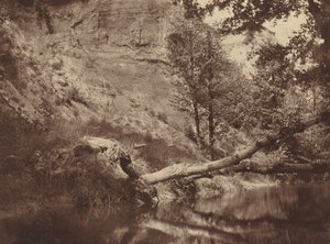 Flussufer, ca. 1855 (Foto)