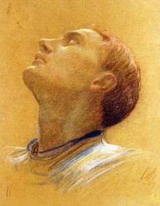 Studie eines aufgerichteten Kopfes von Frank Dicksee
