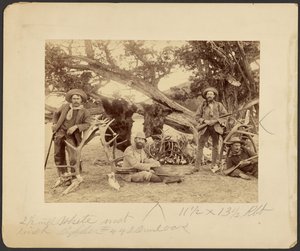 Lispenard Stewart Party, #6 - 5th Ave., N.Y. mit Trophäen am alten Zedernbaum, Mammoth Hot Springs, Yellowstone Nationalpark von Frank Jay Haynes