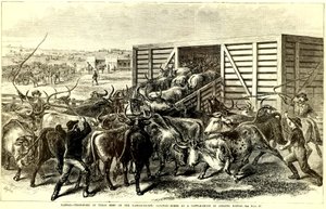 Viehtrichter in Abilene, Kansas